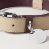 Medium Leather Dog Collar Dune & Oxblood Small Classic Grain