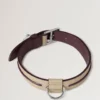 Medium Leather Dog Collar Dune & Oxblood Small Classic Grain
