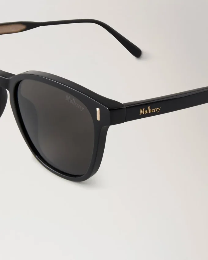 Quinn Sunglasses Black Bio Acetate Sunglasses